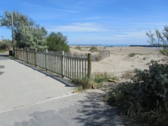 Strand