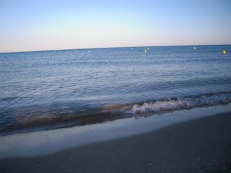 Meer